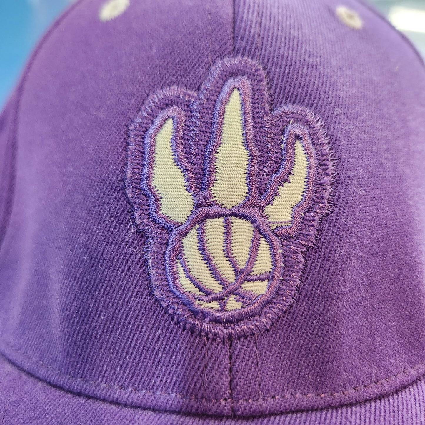 Vintage Nike Toronto Raptors NBA Men's Hat Purple - Size Medium/Large