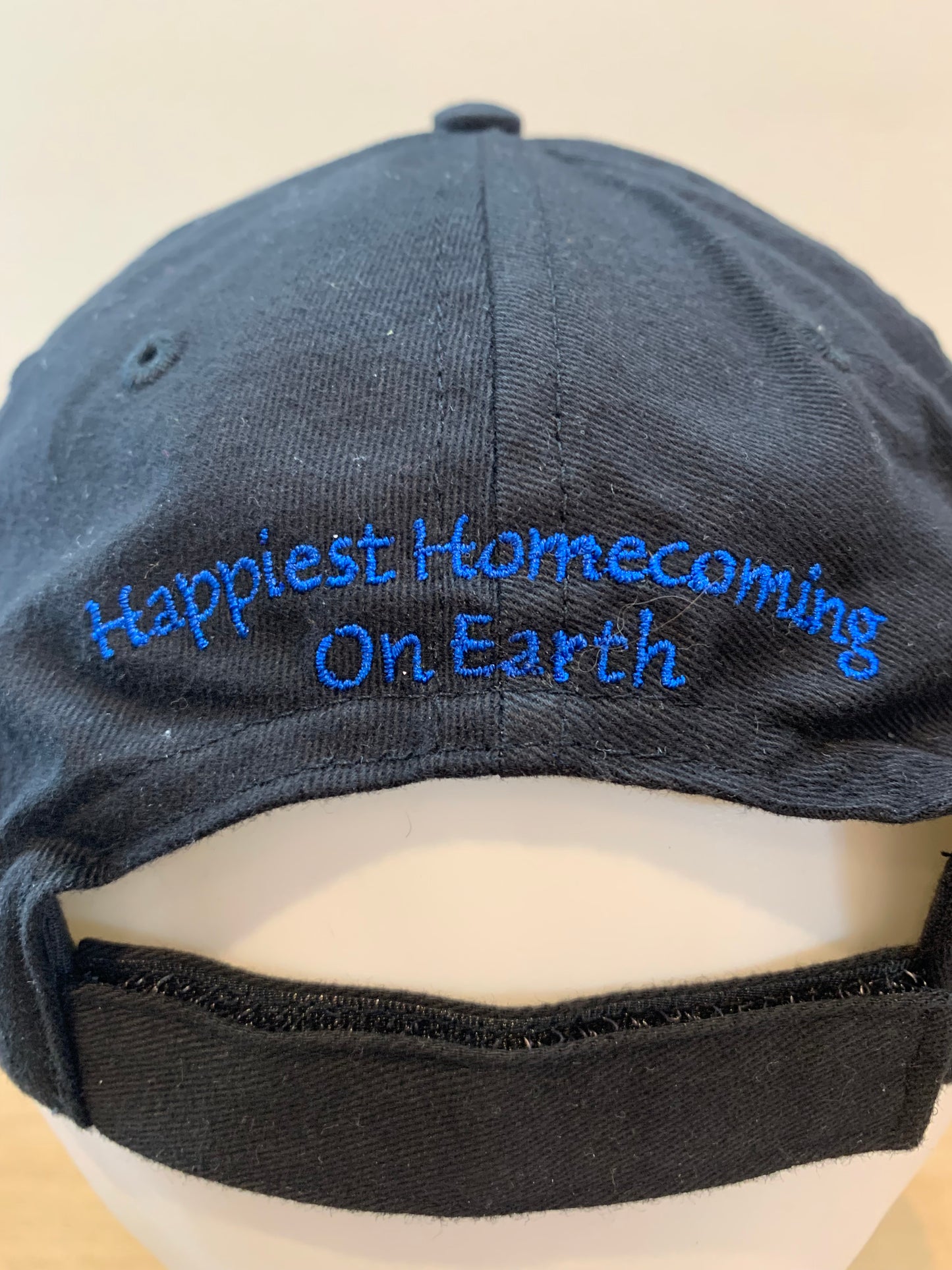 Disney Vintage 2005 50th Anniversary Adjustable Hat
